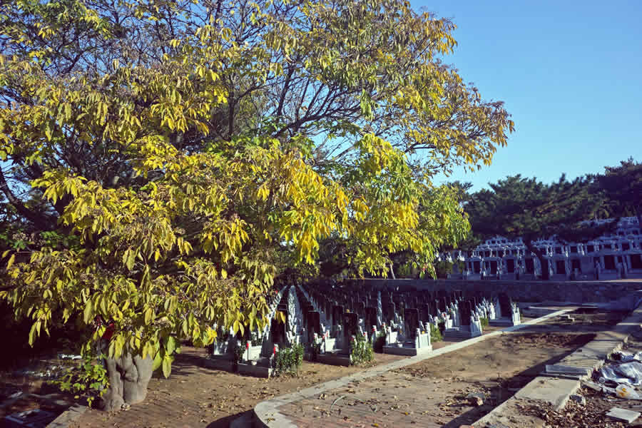 大连英歌石公墓